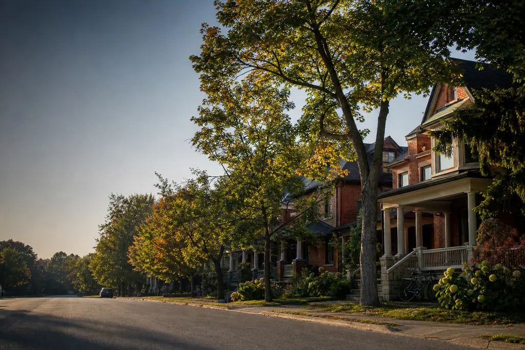A tree-lined Guelph street at golden hour, with Victorian red-brick houses and wide covered verandahs set back behind mature maples.